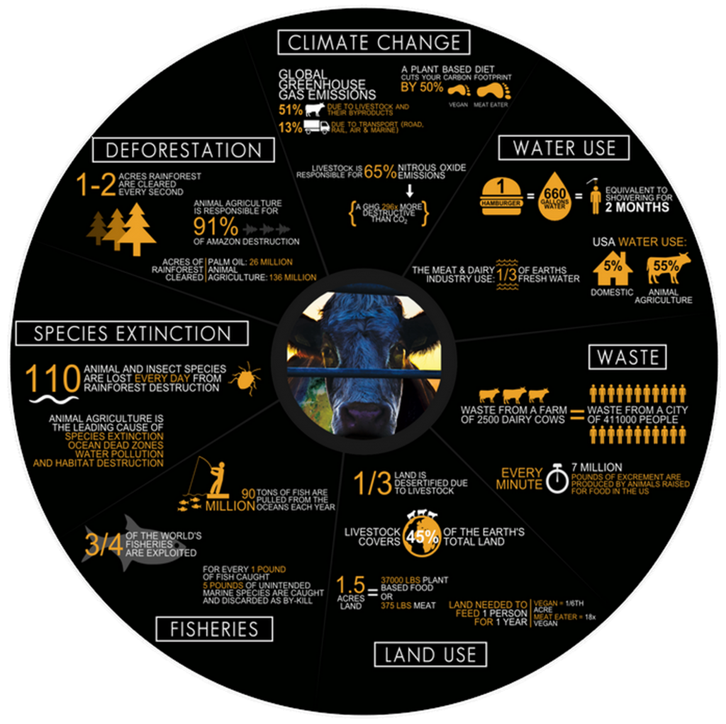 cowspiracy_facts2