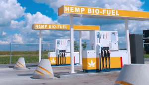 hemp_biofuel